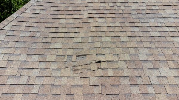 Roof Leak Inspection in West Springfield