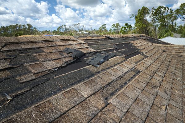 Roof Damage Repair in West Springfield