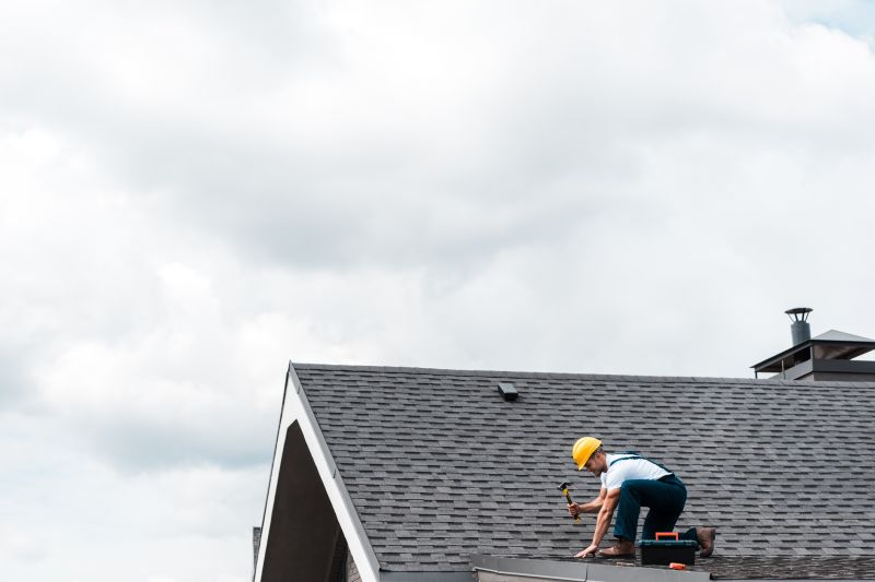 Professional Roofing Solutions